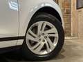 Land Rover Range Rover Evoque P160*MHEV*AUT*R-DYNAMIC*22.399 KM!* Weiß - thumbnail 14