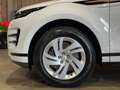 Land Rover Range Rover Evoque P160*MHEV*AUT*R-DYNAMIC*22.399 KM!* Weiß - thumbnail 8