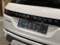 Land Rover Range Rover Evoque P160*MHEV*AUT*R-DYNAMIC*22.399 KM!* Weiß - thumbnail 16