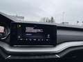 Skoda Octavia Combi 2,0 TDI | VIRTUAL COCKPIT Weiß - thumbnail 22