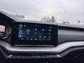Skoda Octavia Combi 2,0 TDI | VIRTUAL COCKPIT Weiß - thumbnail 24