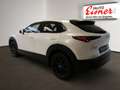 Mazda CX-30 X186 AWD EXCLUSIVE L. Inkl. AHK Wit - thumbnail 10