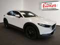 Mazda CX-30 X186 AWD EXCLUSIVE L. Inkl. AHK Wit - thumbnail 14