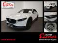 Mazda CX-30 X186 AWD EXCLUSIVE L. Inkl. AHK Weiß - thumbnail 1