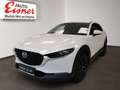 Mazda CX-30 X186 AWD EXCLUSIVE L. Inkl. AHK Blanc - thumbnail 2