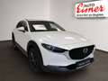 Mazda CX-30 X186 AWD EXCLUSIVE L. Inkl. AHK Weiß - thumbnail 15