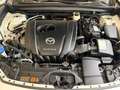 Mazda CX-30 G122 Comfort+ AHK Blanc - thumbnail 20