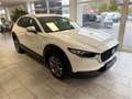 Mazda CX-30 G122 Comfort+ AHK Blanc - thumbnail 3