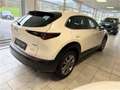 Mazda CX-30 G122 Comfort+ AHK Blanc - thumbnail 4