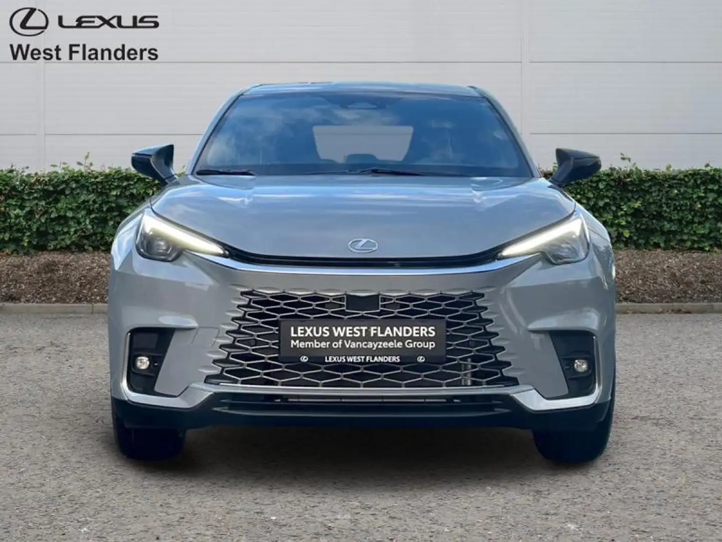 Lexus LBX Relax + Executive Pack Grau - 2