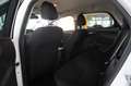 Ford Focus Turnier 1.5D BUISNESS NAVI/LED/SH/PDC/TEMP Weiß - thumbnail 24