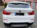 BMW X4 X4 Diesel xDrive20d Aut. xLine Weiß - thumbnail 14