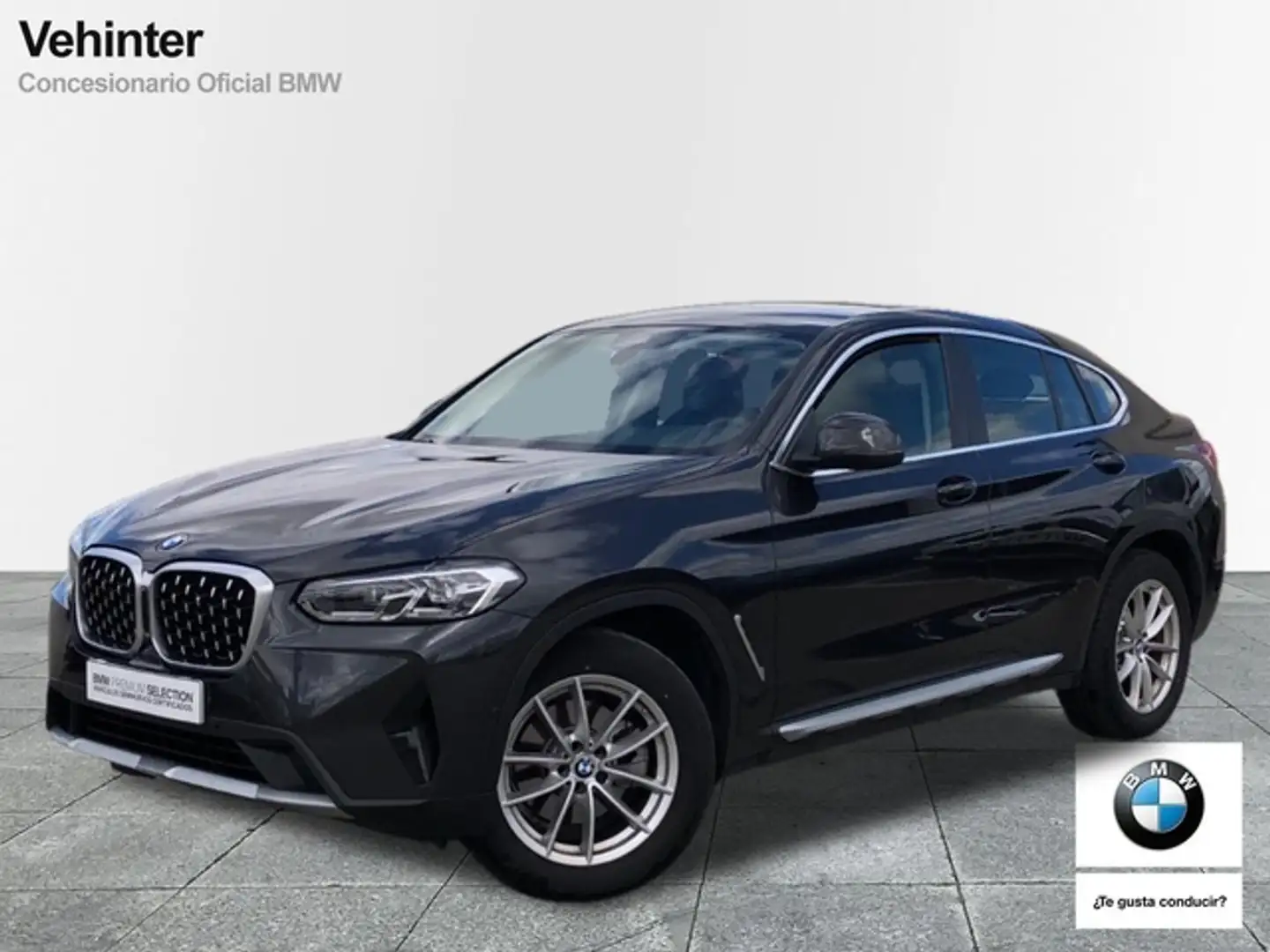 BMW X4 xDrive 20dA xLine Gris - 1