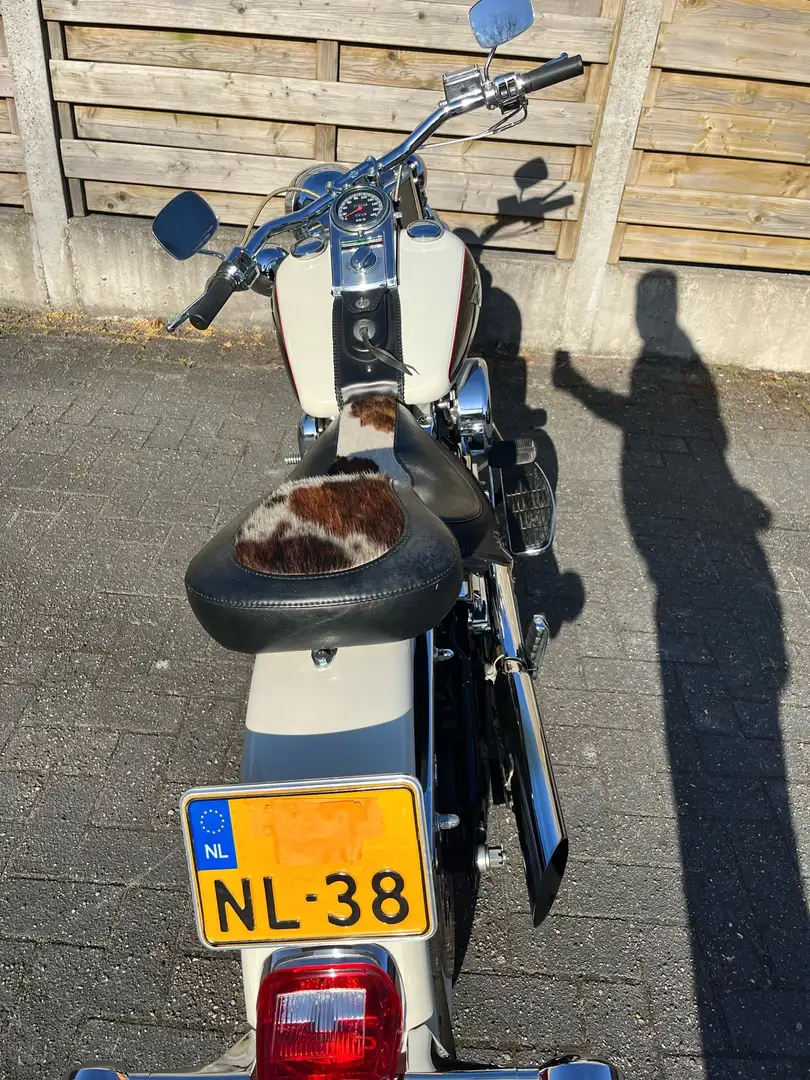 Harley-Davidson Heritage Softail uitgevoerd als limited Heritage Nostalgia Cowride Alb - 2