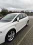 SEAT Leon 1.8TSI 2010 —-VENDRE A L’EXPORT—- Wit - thumbnail 4
