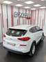 Hyundai TUCSON 1.6 GDI BD Tecno 4x2 Blanco - thumbnail 12