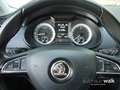 Skoda Octavia Combi 1.6 TDI Premium Edition LED/AHK/NAVI/RFK Blauw - thumbnail 11