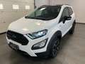 Ford EcoSport 1.0 Benzina Active Full Optional Blanc - thumbnail 3