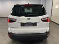 Ford EcoSport 1.0 Benzina Active Full Optional Blanc - thumbnail 4