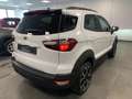 Ford EcoSport 1.0 Benzina Active Full Optional Blanc - thumbnail 6