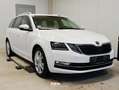 Skoda Octavia Style 4x4 | Top Langsteckenfahrzeug mit Wartung! Weiß - thumbnail 1
