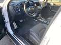 Kia XCeed 1.6 PHEV DCT6 PLATINUM 18 ZOLL GD Weiß - thumbnail 12