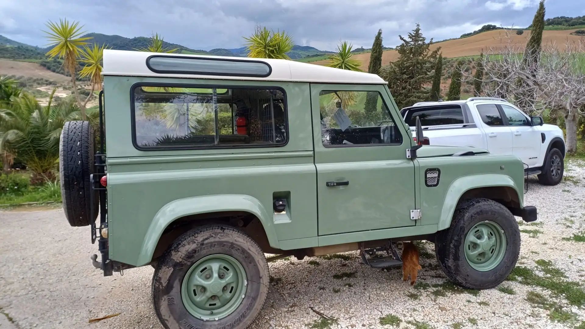 Land Rover Defender Defender 2.5 Tdi County Groen - 1