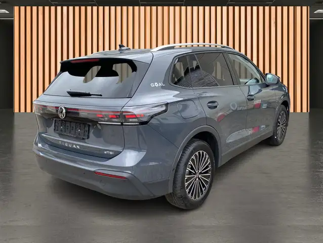 Volkswagen Tiguan view 19