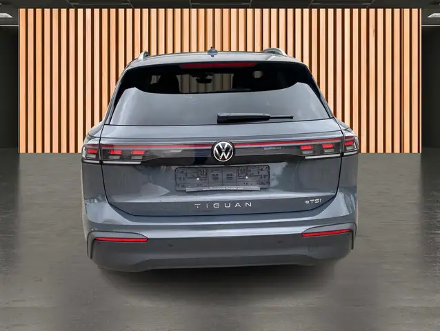 Volkswagen Tiguan view 18