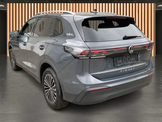 Volkswagen Tiguan view 17