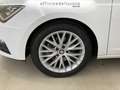 SEAT Leon 5 porte 1.4 tgi 110cv business high dsg s&s - thumbnail 13