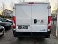 Fiat Ducato Kasten 30 120 L1H1 RS: 3000 mm Weiß - thumbnail 7