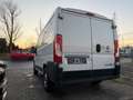 Fiat Ducato Kasten 30 120 L1H1 RS: 3000 mm Weiß - thumbnail 9