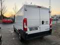 Fiat Ducato Kasten 30 120 L1H1 RS: 3000 mm Weiß - thumbnail 11