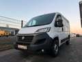 Fiat Ducato Kasten 30 120 L1H1 RS: 3000 mm Weiß - thumbnail 5