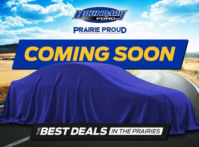 2020 Ford F-150 Pickup Truck Four-Wheel Drive Automatic