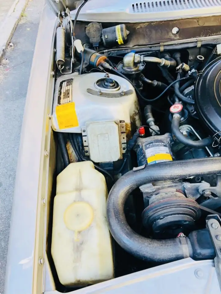 Volvo 262 Nuova!Ex Conc Volvo, foto 7