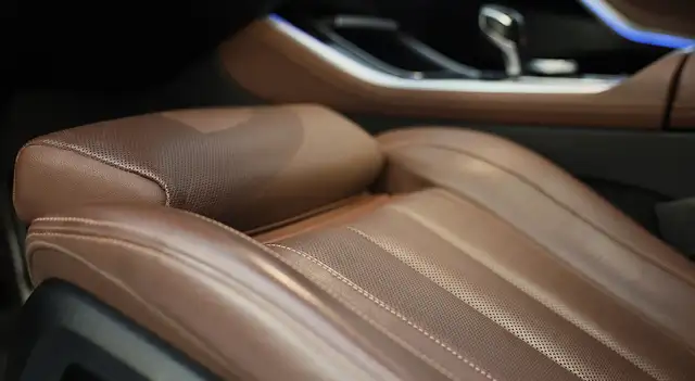BMW X5 view 19