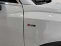 Audi Q3 Q3 35 TDI quattro S tronic S line edition Tetto Ap Bianco - thumbnail 12
