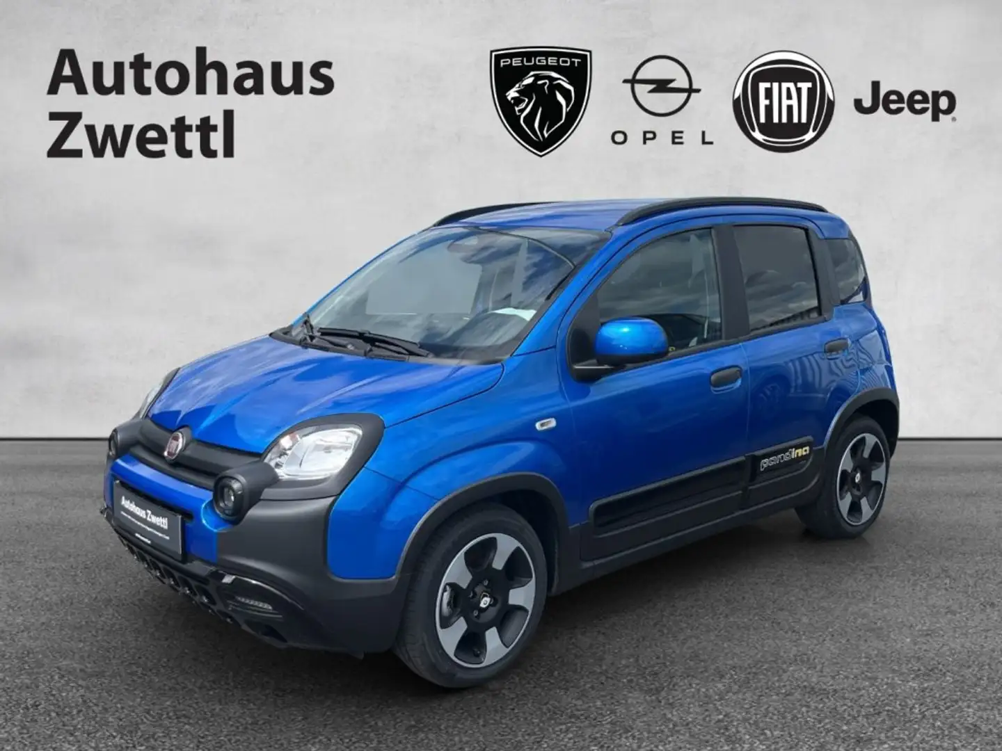 Fiat Panda Pandina PT 70 Blau - 1