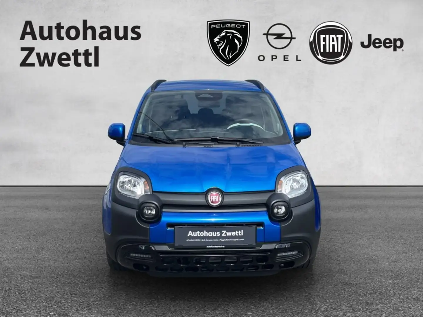 Fiat Panda Pandina PT 70 Blau - 2