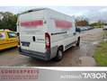 Fiat Ducato 33 130 L2H2 Klima el. FH TÜV 02/2026 Weiß - thumbnail 3