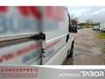 Fiat Ducato 33 130 L2H2 Klima el. FH TÜV 02/2026 Weiß - thumbnail 14