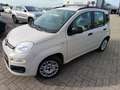 Fiat Panda Panda 1.2 EasyPower Easy Beige - thumbnail 1
