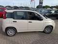 Fiat Panda Panda 1.2 EasyPower Easy Beige - thumbnail 4
