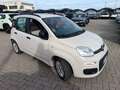 Fiat Panda Panda 1.2 EasyPower Easy Beige - thumbnail 3