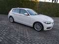 BMW 116 Serie 1 F/20-21 2015 116d 5p my18 Bianco - thumbnail 5