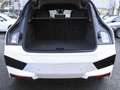 BMW iX xDrive40 Sportpaket Klimaaut. AHK Soft-Close Weiß - thumbnail 9