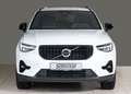 Volvo XC40 B4 Plus Dark 2WD Navi ACC 2-Zonen-Klimaautomatik Weiß - thumbnail 3