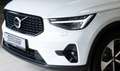 Volvo XC40 B4 Plus Dark 2WD Navi ACC 2-Zonen-Klimaautomatik Weiß - thumbnail 2